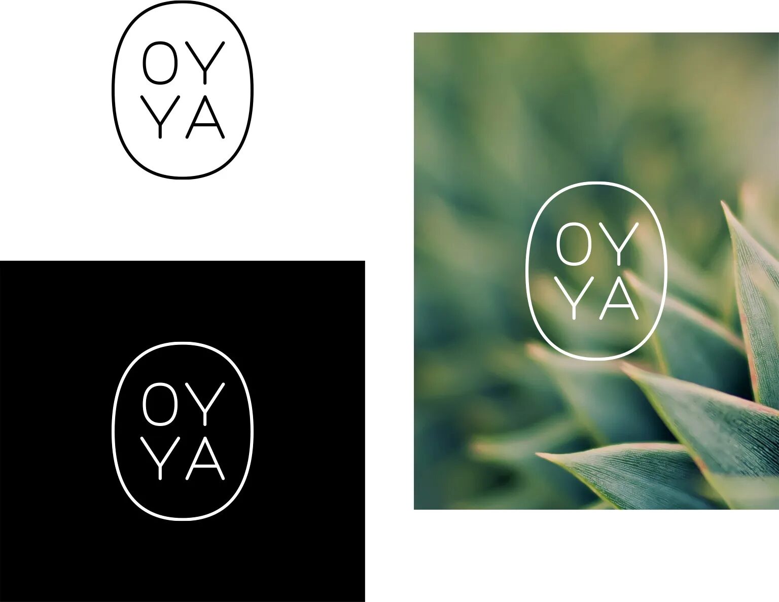 Oyya visual identity sheet with minimalist logo in black, white and on a natural plant background.