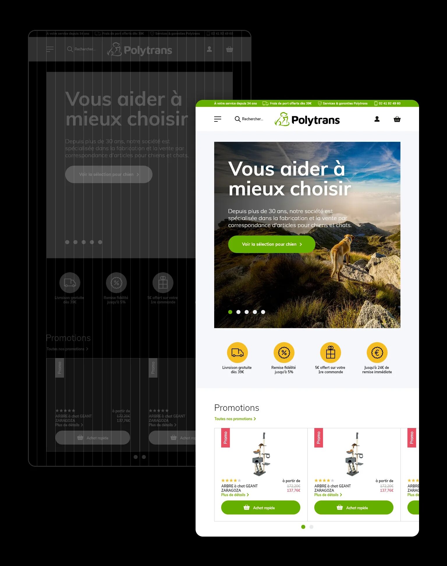 Responsive mock-up of the Polytrans e-commerce site, showing the mobile and desktop adaptation of the home page with navigation, mountain dog visual and customer benefits.