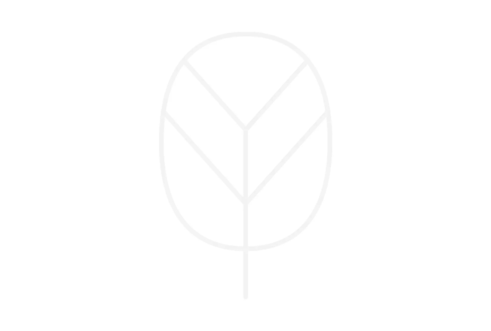 Visuel de couverture Oyya pour compléments alimentaires, avec logo minimaliste noir et symbole végétal en arrière-plan