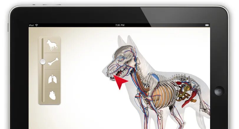 Royal Canin tablet app with dog anatomy.