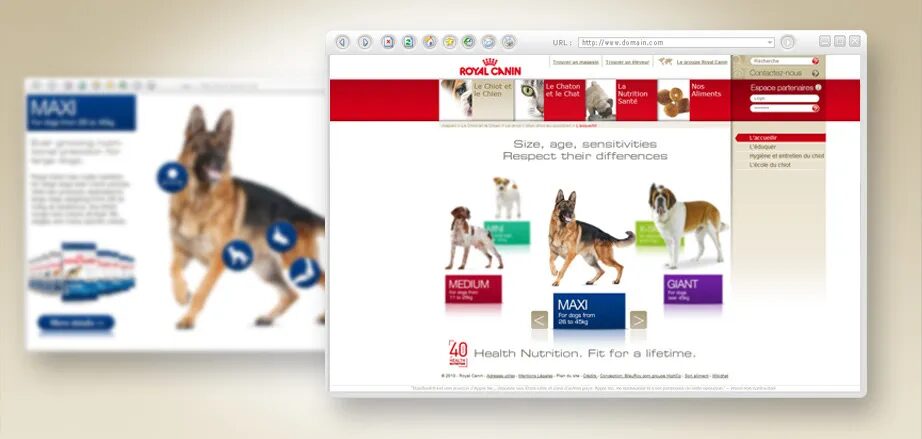 Royal Canin website
