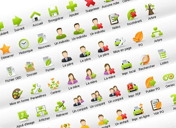 Colorful icons for Heredis 11 software.