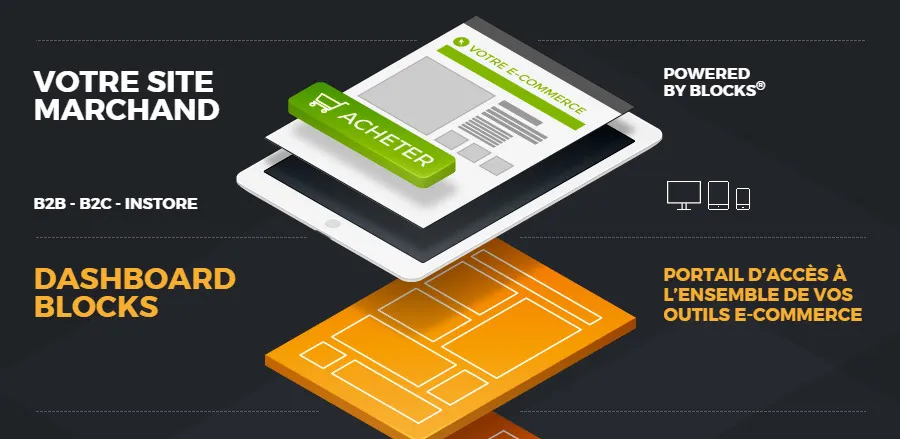 Infographic creation Netik dashboard blocks B2B B2C e-commerce solution by cubedesigners