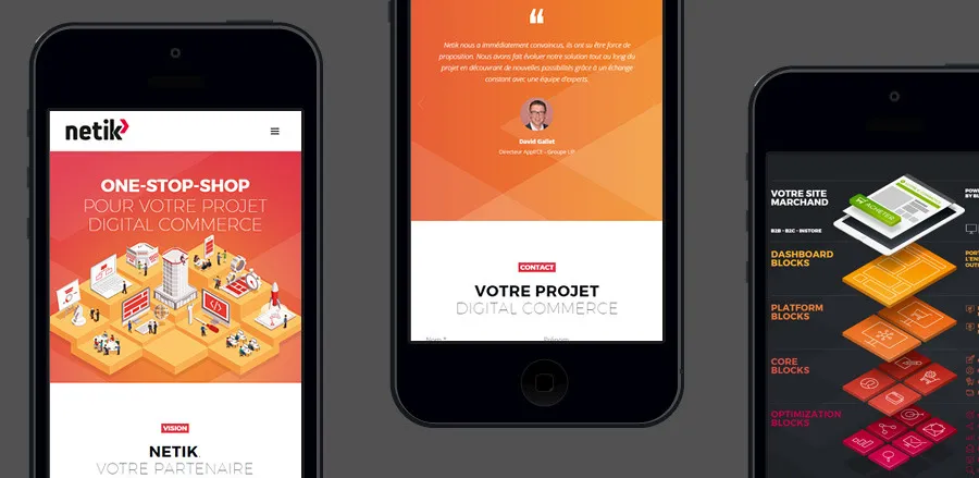 Netik digital commerce responsive mobile website creation by cubedesigners