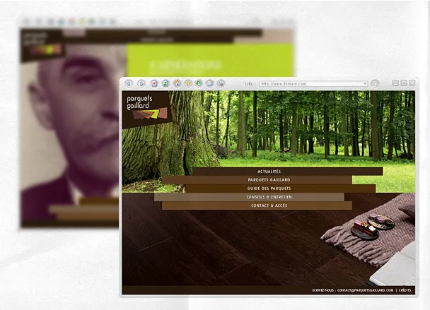 Parquets Gaillard website with forest and parquet visual.