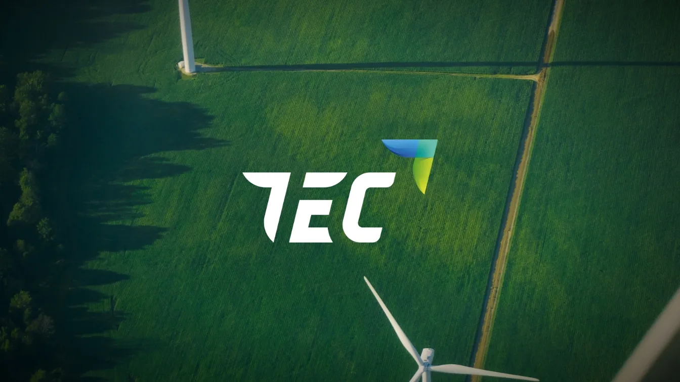 Logo et site web TEC International Export pour société d’import-export énergie